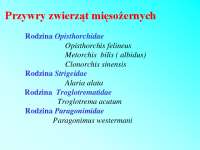 Przywry zwierząt mięsożernych