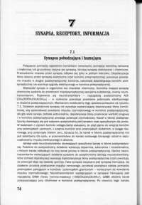 SYNAPSA, RECEPTORY, INFORMACJA