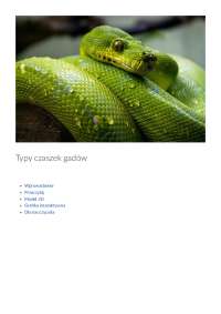 Typy czaszek gadów