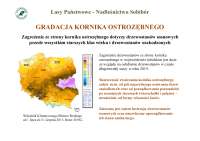 GRADACJA KORNIKA OSTROZĘBNEGO
