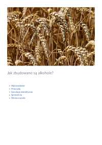 Jak zbudowane są alkohole?