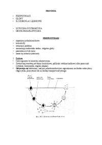 PROTISTA • PIERWOTNIAKI • GLONY • ŚLUZOROŚLA I ...