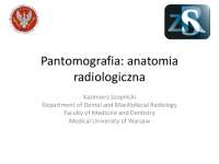 Anatomia radiologiczna pantomografia