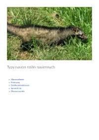 Typy nasion roślin nasiennych