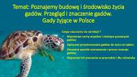 Poznajemy budowę i środowisko życia gadów. Przegląd i ...