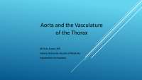 Aorta and the Vasculature of the Thorax