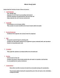 Mitosis Study Guide