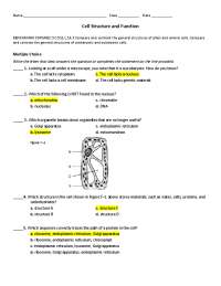 Cell Structure and Function: Multiple Choice Quiz