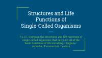 Structures and Life Functions of Single-Celled Organisms