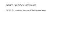 Lymphatic System and Digestive System: Lecture Exam 5 Study Guide