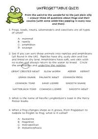 UNFROGETTABLE QUIZ!