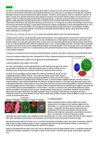 Appunti di Botanica completi