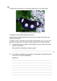 The Blue-moon butterfly lives on a small island called Samoa ...