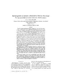 Spermatogenesis in Animals as Revealed by Electron ...