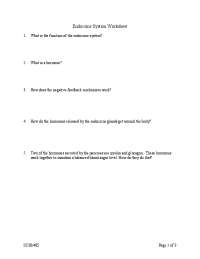 Endocrine System Worksheet: Understanding Hormones and Their Functions
