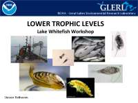 LOWER TROPHIC LEVELS