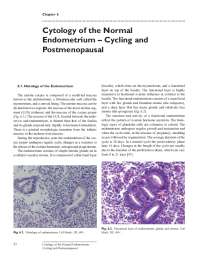 Cytology of the Normal Endometrium – Cycling and ...