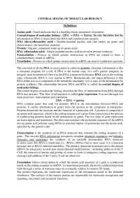 Central Dogma of Molecular Biology: DNA to RNA to Protein