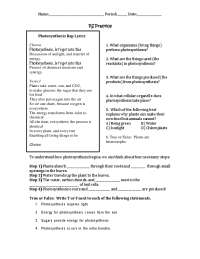 1. Photosynthesis requires light. 2. Energy for photosynthesis ...