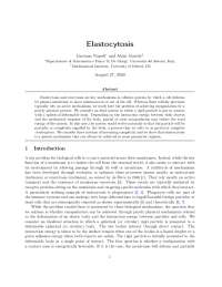 Elastocytosis