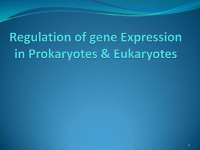 Regulation of gene Expression in eukaryotes