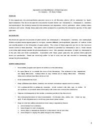 Separation and Identification of Plant Pigments Dr. Gergens