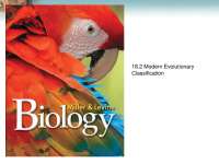 Modern Evolutionary Classification