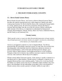 fundamentals of family theory