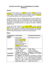 Historia natural de la enfermedad de la fiebre amarilla