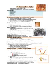 tumores y neoplasias: polipos de distintos tipos en el colon