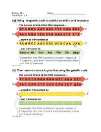 DNA translation worksheet