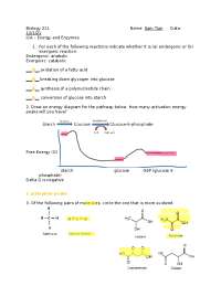 energy and enzymes ws