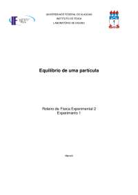 EQUILIBRIO DE UMA PARTICULA FISICA