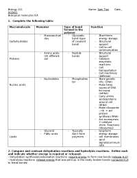 biological molecules ws