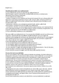 Rocce sedimentarie, caratteristiche e genesi