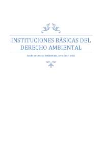 Derecho Ambiental: Principios, Competencias y Evaluación de Impacto Ambiental