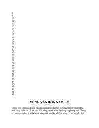 cơ sở văn hóa về VÙNG VĂN HÓA NAM BỘ của năm nhất đại học ngôn ngữ và tin học huflit