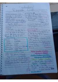 Processos fonológicos na aquisição de linguagem