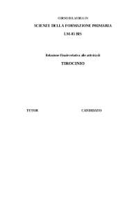 TESI Relazione finale di Tirocinio completa di indice e bibliografia