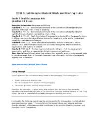 Grade 7 English Language Arts Question 13: Essay