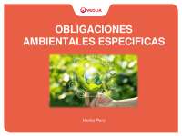 Obligaciones ambientales específicas en Veolia Perú