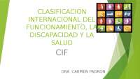 Clasificación del Funcionamiento