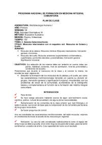 Morfo 1 primer año ucs