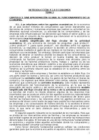 aproximacion global al funcionamiento