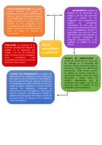 mapa conceptual de seminario