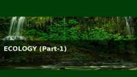 Introduction to Ecology: A Comprehensive Overview
