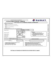 Guía para pagos varios