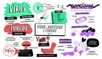 Mapa mental bactérias e fungos