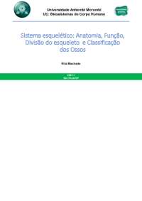 Sistema esquelético: Anatomia, Função, Divisão do esqueleto e Classificação dos Ossos