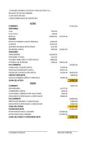 Ejercicios de Contabilidad: Balance de Situación General y Libro Diario